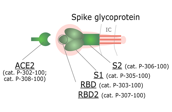 Available Spike protein variants_block