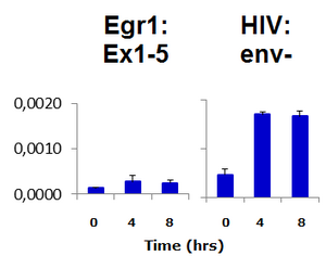 Mouse mAb to HIV-1 Tat (clone 7)