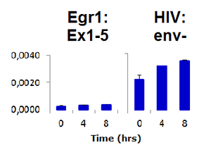 Mouse mAb to HIV-1 Tat (clone N8)