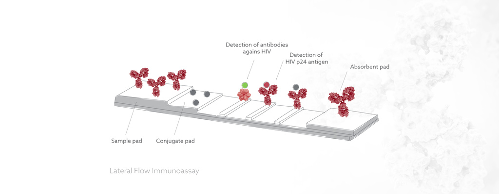 A fourth-generation HIV test using p24 antigen and antibody determination. While antibodies are good indicator for infection, antigens are important to determine the early infection