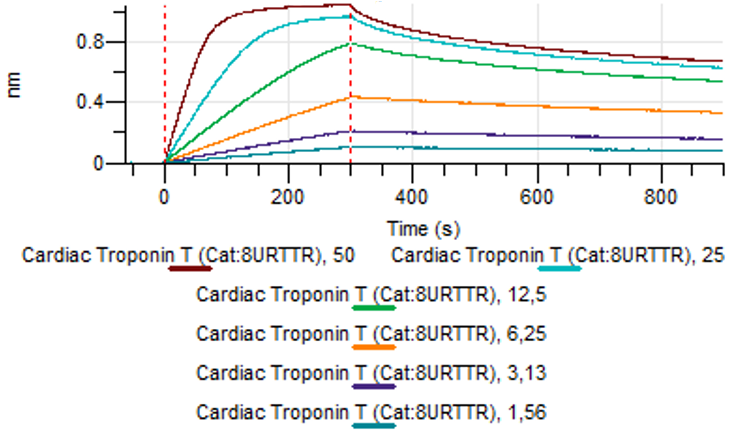 Monoclonal antibody to Cardiac troponin T, clone 2A7, hIgG1