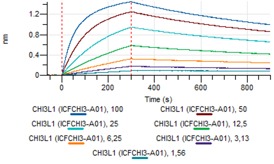 Monoclonal antibody to CHI3L1, clone 11B5, hIgG1
